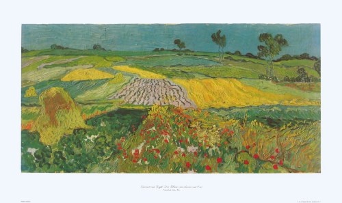Gogh Vincent van; Die Ebene von Auvers-Sur-Oise