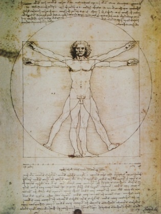 Leonardo da Vinci Leonardo; The Vitruvian Man , 1492