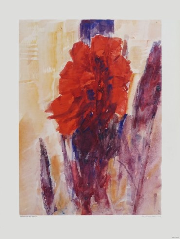 Rohlfs Christian; Canna Indica